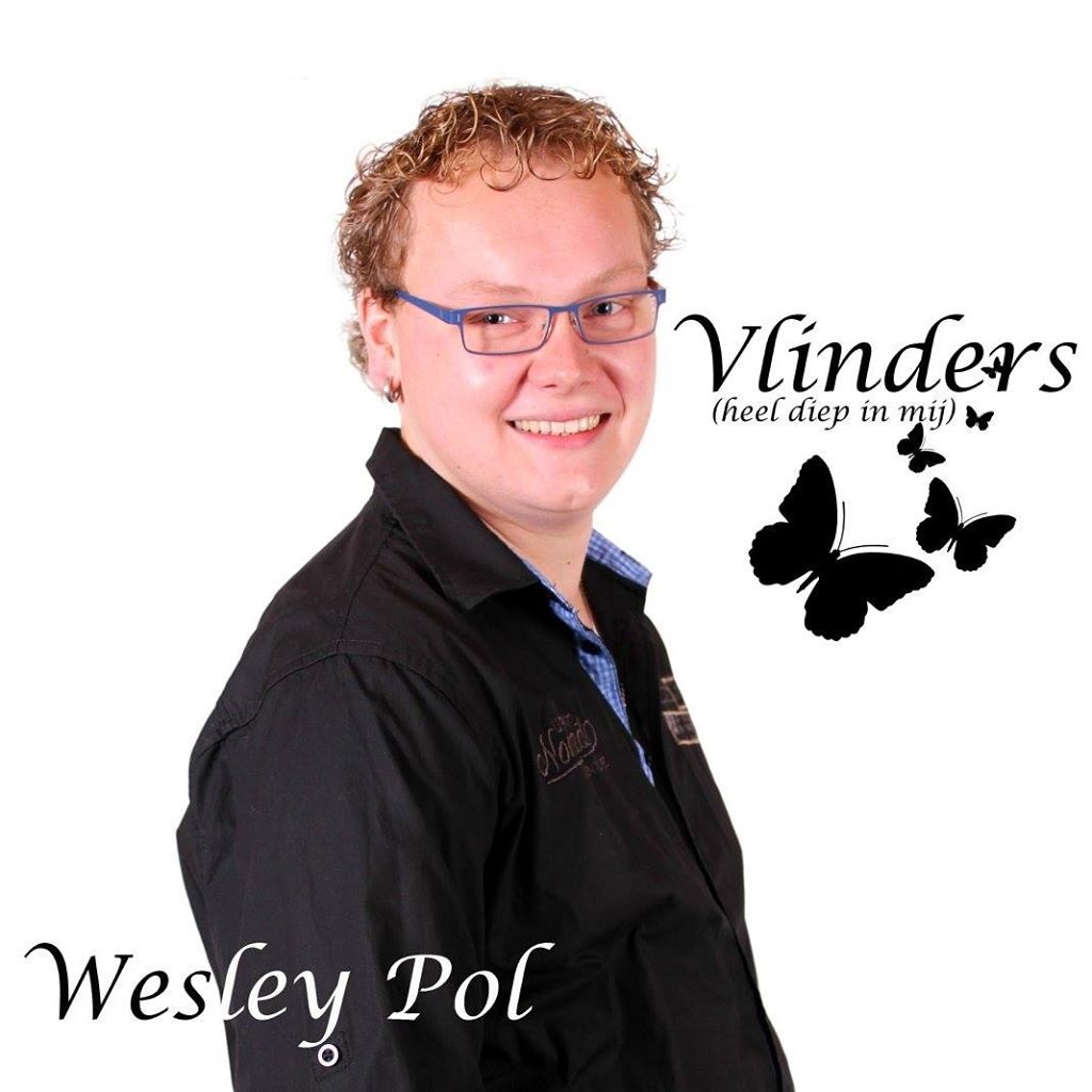 vlinders-v